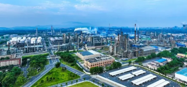 2025年信息技术服务新趋势：长沙德本科技解读定制化解决方案需求